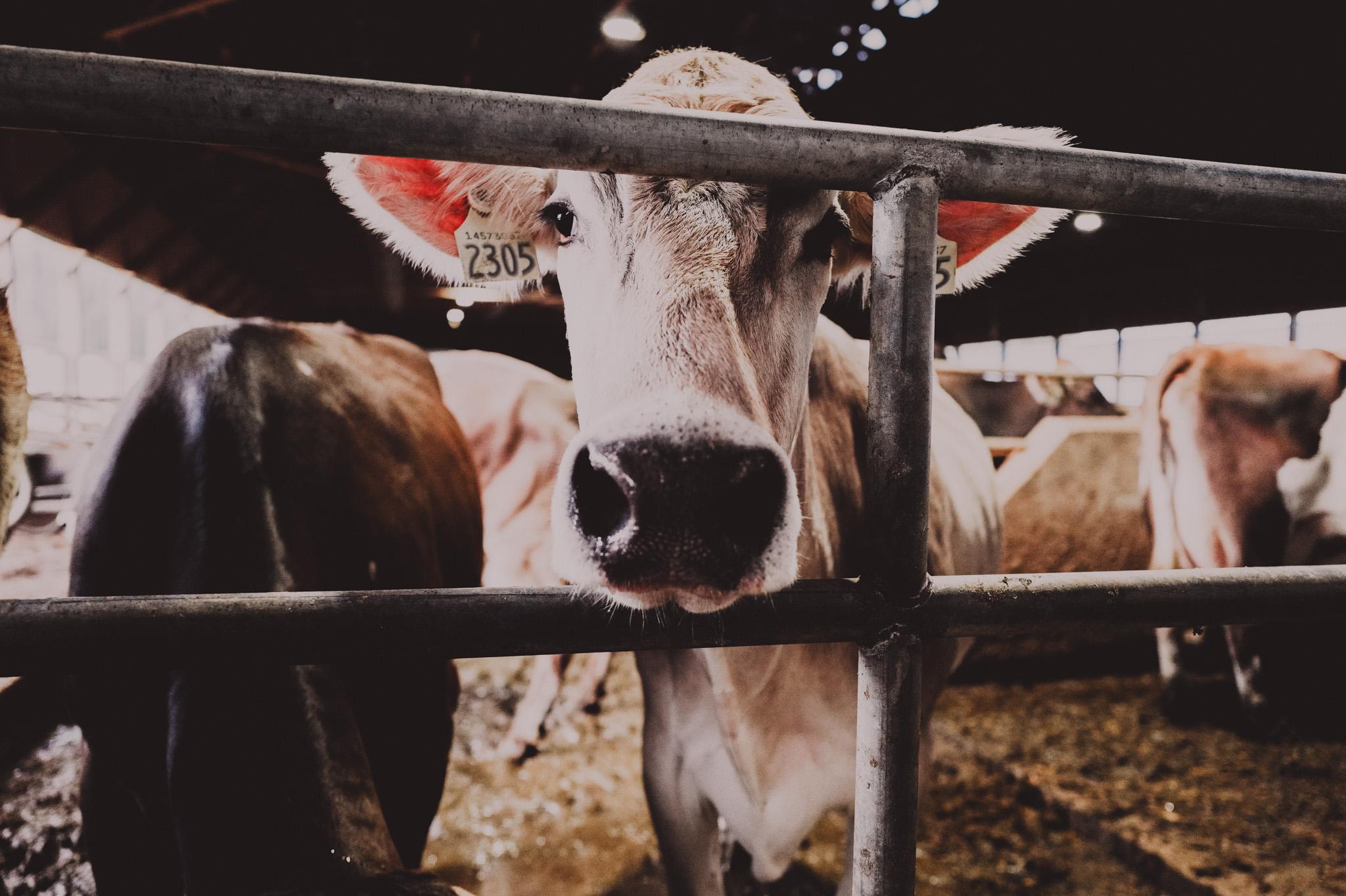 Les atouts du Canada - Confiance et intégrité Les atouts du Canada - Confiance et intégrité