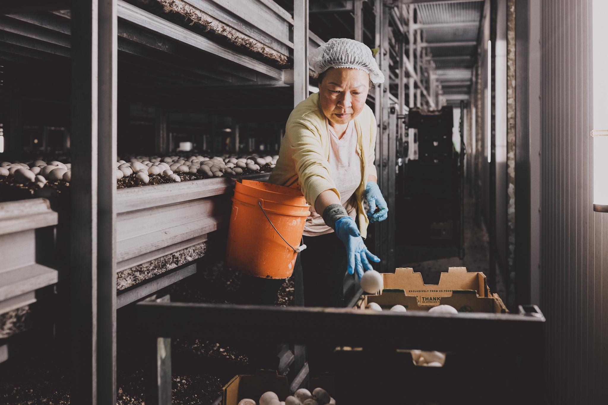 Les atouts du Canada - Facteur humain Les atouts du Canada - Facteur humain