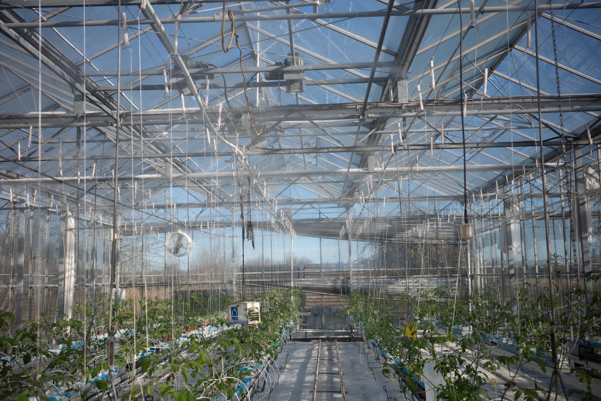 Les atouts du Canada - Innovation et ingéniosité Les atouts du Canada - Innovation et ingéniosité