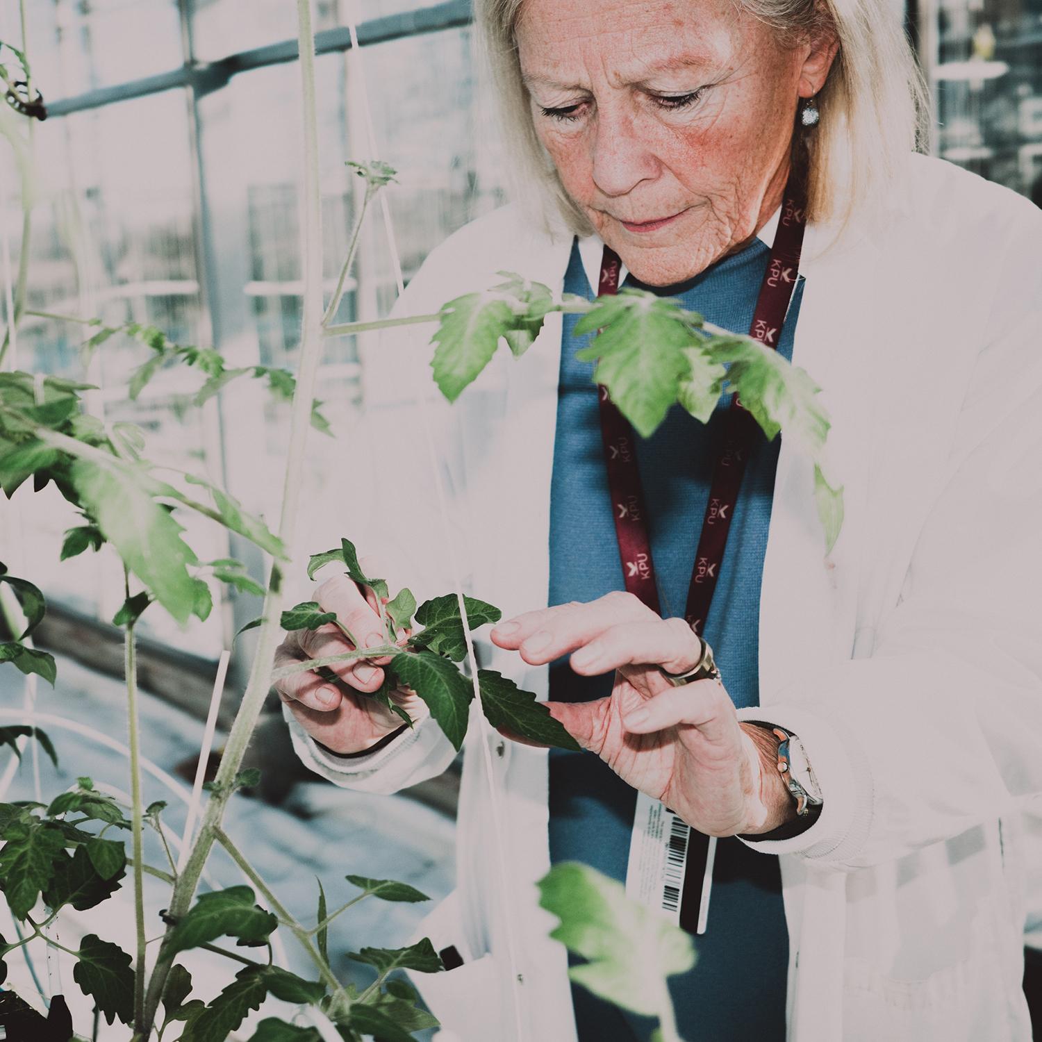 Partout au Canada, les voix s’élèvent - Horticulture Partout au Canada, les voix s’élèvent - Horticulture