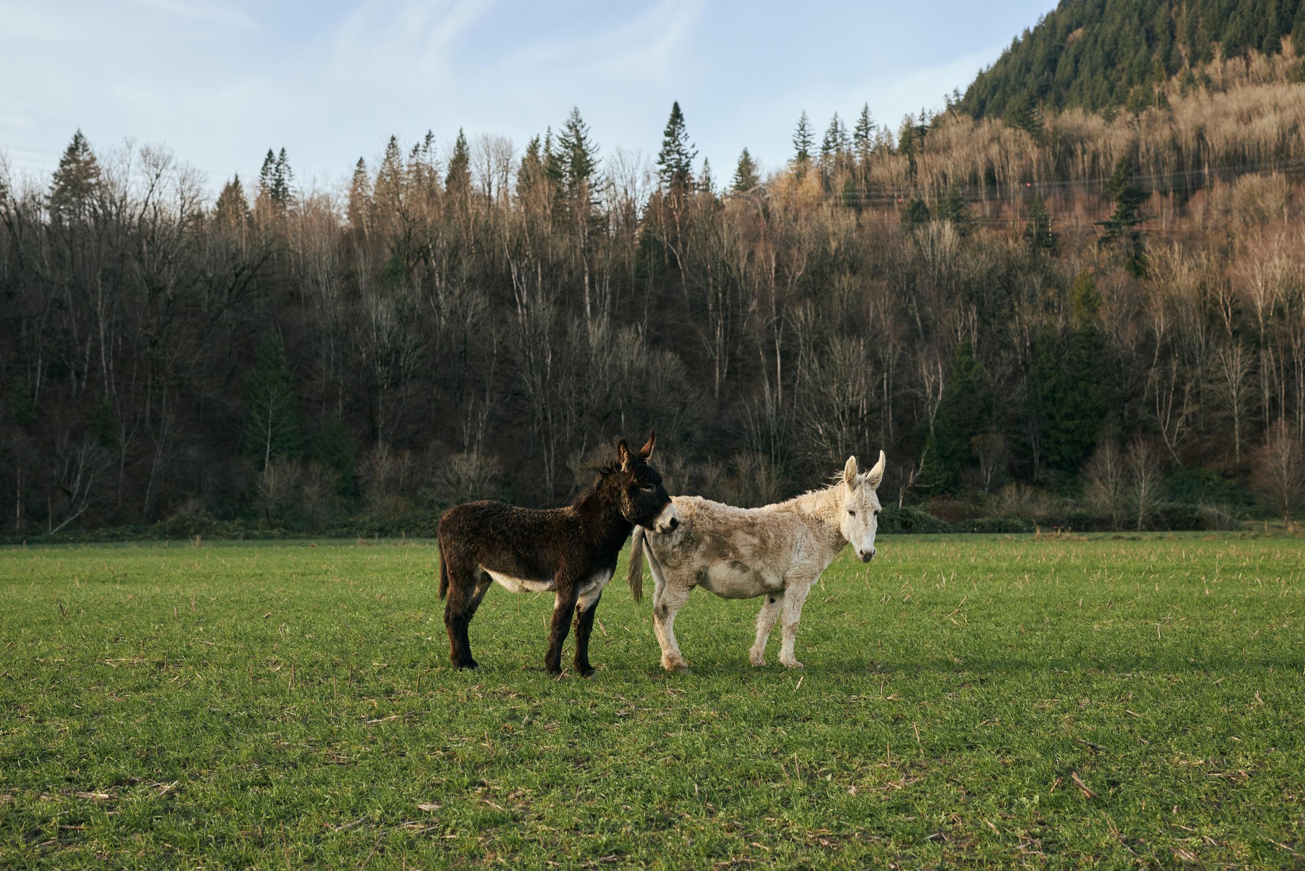 Pourquoi le Canada, pourquoi maintenant - Pression climatique Pourquoi le Canada, pourquoi maintenant - Pression climatique