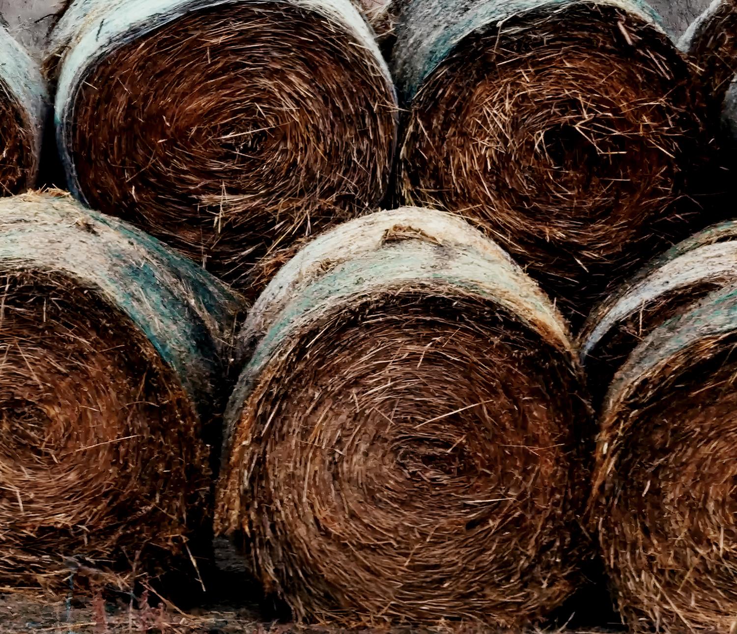 Les atouts du Canada - Rendement et potentiel à l’échelle mondiale Les atouts du Canada - Rendement et potentiel à l’échelle mondiale