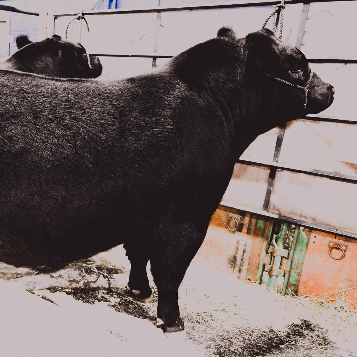 Les atouts du Canada - Rendement et potentiel à l’échelle mondiale Les atouts du Canada - Rendement et potentiel à l’échelle mondiale