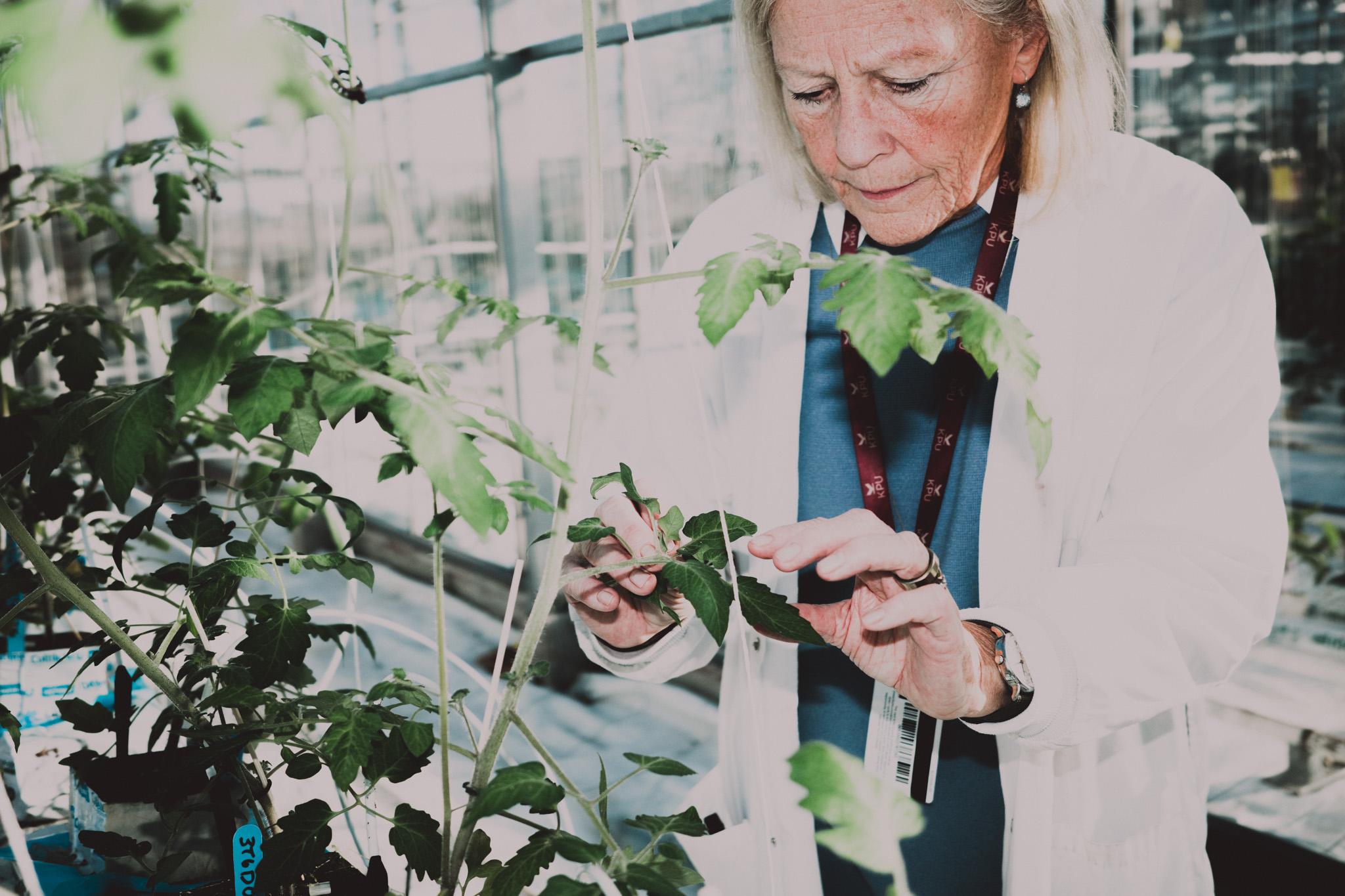 Nous joindre - Horticulture Nous joindre - Horticulture