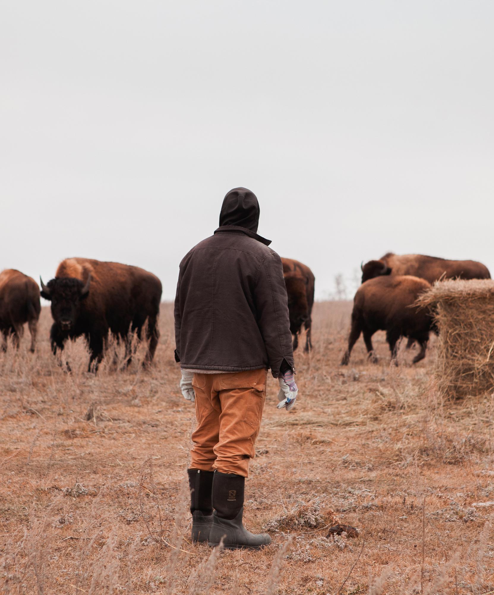 Les atouts du Canada - Ampleur du territoire et richesses naturelles Les atouts du Canada - Ampleur du territoire et richesses naturelles