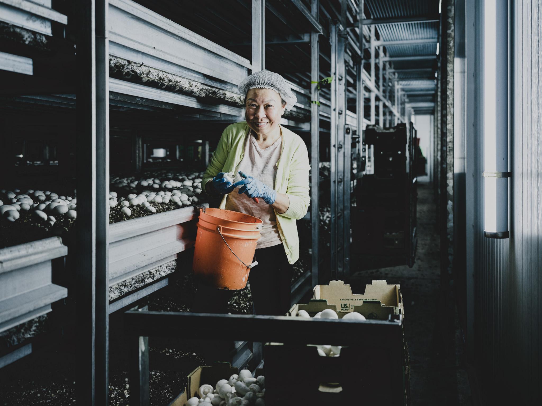 Partout au Canada, les voix s’élèvent - Champignonnière Partout au Canada, les voix s’élèvent - Champignonnière